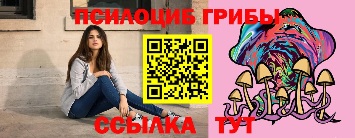 где купить наркоту  Вход с VPN  Элиста  Псилоцибиновые грибы мицелий 